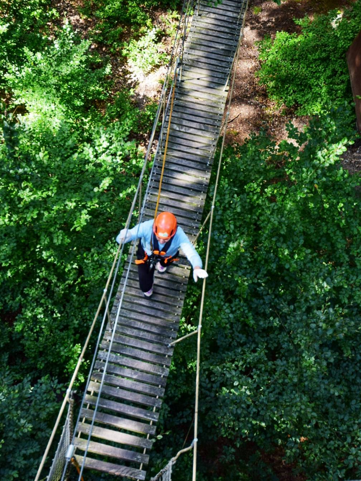 Kletterwald