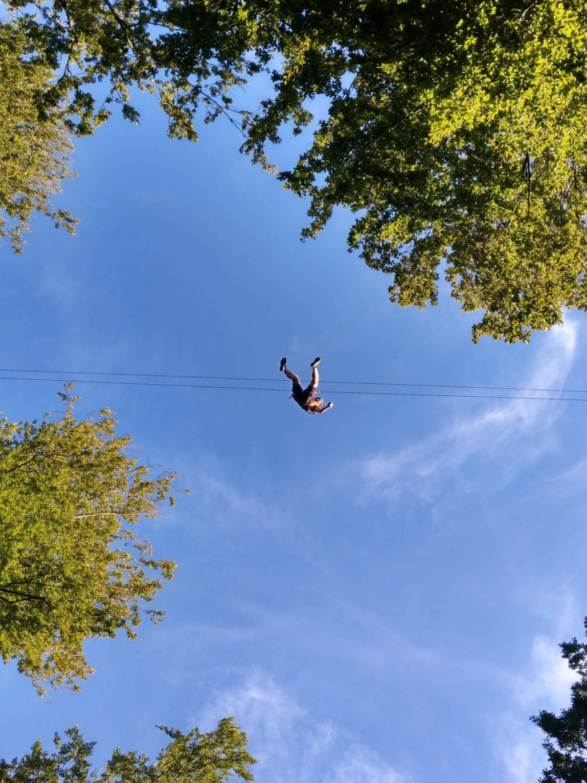 Kletterwald